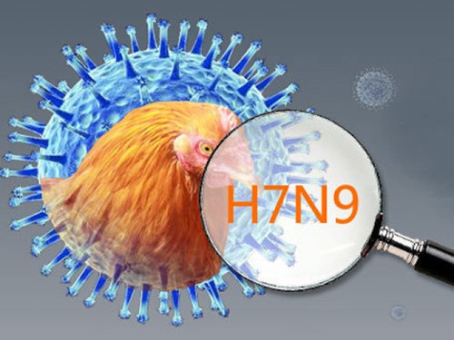  Khuyến cáo phòng bệnh cúm A(H7N9) 